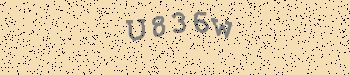 An error has occurred while getting captcha image